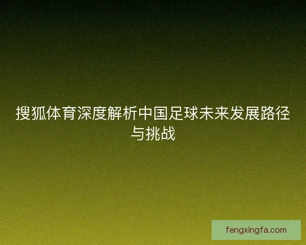 搜狐体育深度解析中国足球未来发展路径与挑战