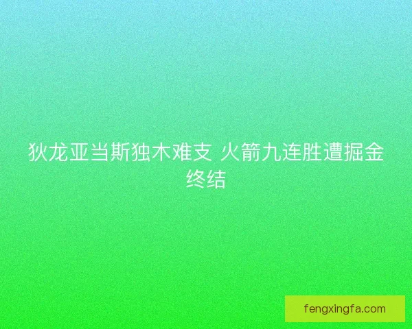 狄龙亚当斯独木难支 火箭九连胜遭掘金终结